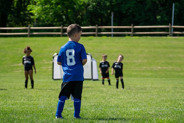 力依旧强大 力依旧强大