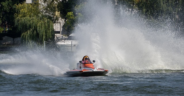 帕金斯批评 帕金斯批评