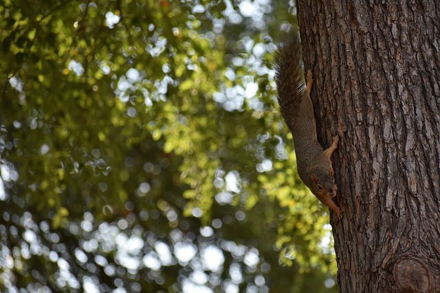 留在舒适区 留在舒适区