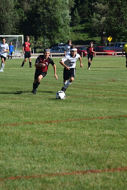 汤普森的表 汤普森的表