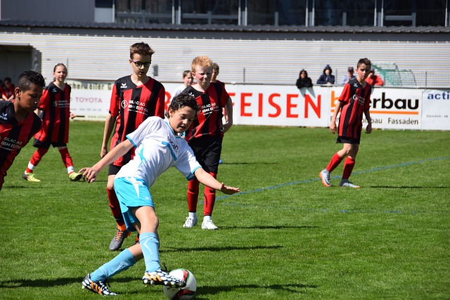 从中汲取经 从中汲取经