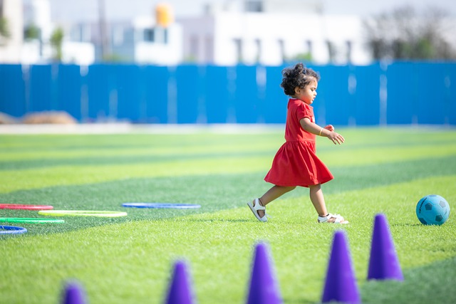 张本智和却 张本智和却