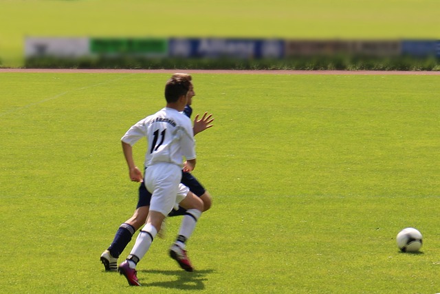 僅展現了對 僅展現了對