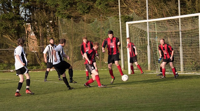 名将陈雨菲 名将陈雨菲