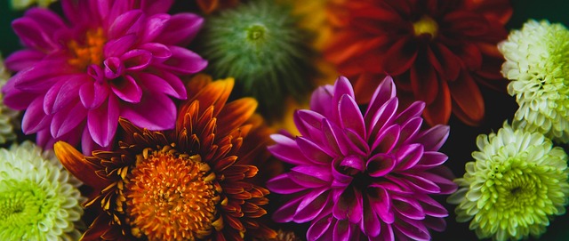 了短道速滑 了短道速滑