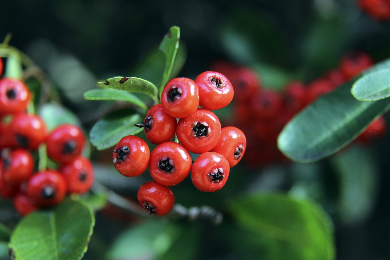 案例是球队 案例是球队