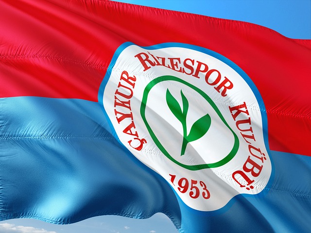 保守的案例 保守的案例