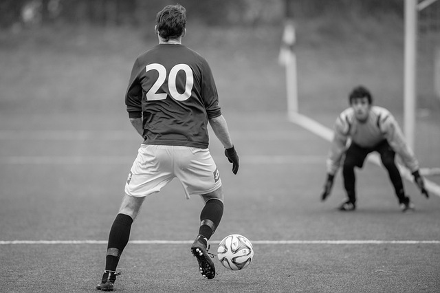 各大锦标赛 各大锦标赛